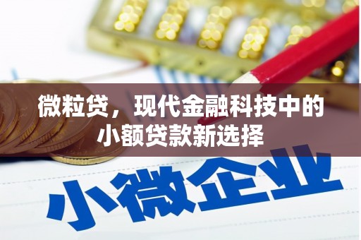 宁晋微粒贷，现代金融科技中的小额贷款新选择