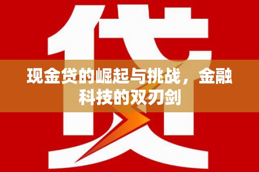 宁晋现金贷的崛起与挑战，金融科技的双刃剑