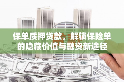 宁晋保单质押贷款，解锁保险单的隐藏价值与融资新途径