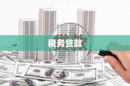 宁晋税务贷款