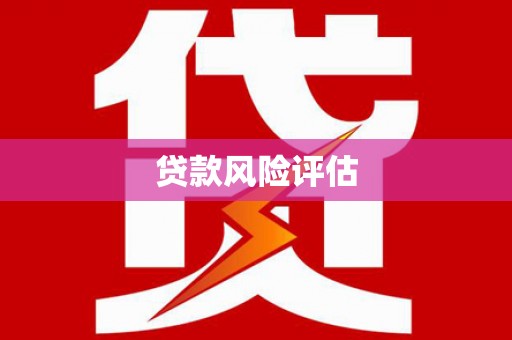 宁晋贷款风险评估