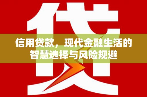 宁晋信用贷款，现代金融生活的智慧选择与风险规避