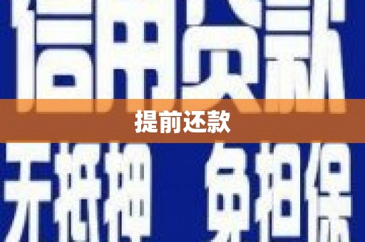 宁晋提前还款
