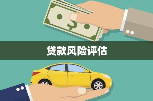 宁晋贷款风险评估