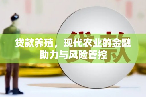 宁晋贷款养殖，现代农业的金融助力与风险管控