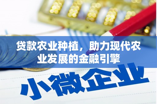 宁晋贷款农业种植，助力现代农业发展的金融引擎