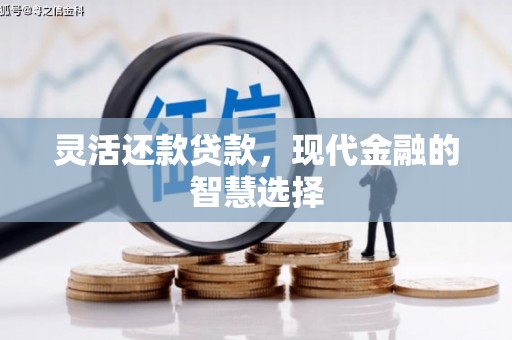 宁晋灵活还款贷款，现代金融的智慧选择