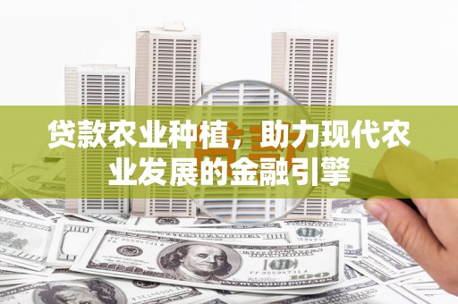 宁晋贷款农业种植，助力现代农业发展的金融引擎