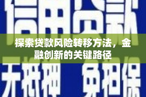 宁晋探索贷款风险转移方法，金融创新的关键路径