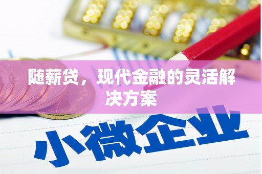 宁晋随薪贷，现代金融的灵活解决方案