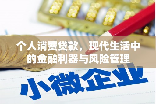 宁晋个人消费贷款，现代生活中的金融利器与风险管理
