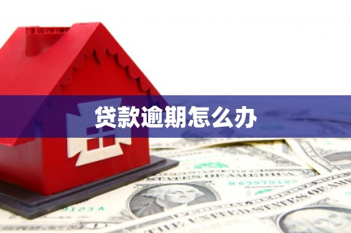 宁晋贷款逾期怎么办