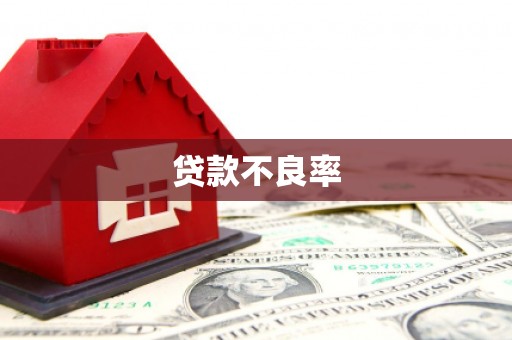 宁晋贷款不良率