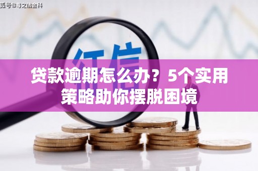 宁晋贷款逾期怎么办？5个实用策略助你摆脱困境
