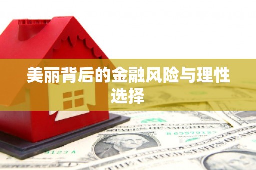 宁晋美丽背后的金融风险与理性选择
