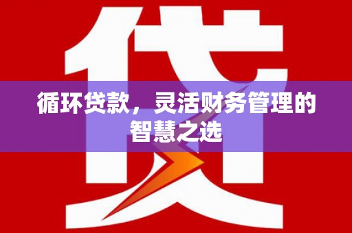 宁晋循环贷款，灵活财务管理的智慧之选