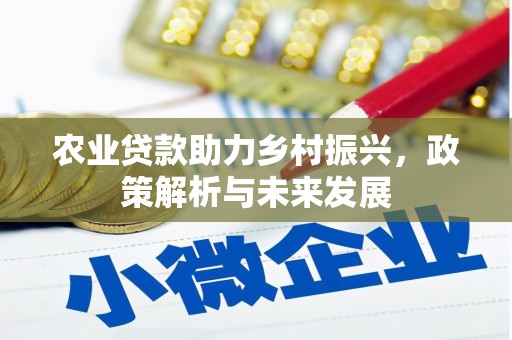 宁晋农业贷款助力乡村振兴，政策解析与未来发展