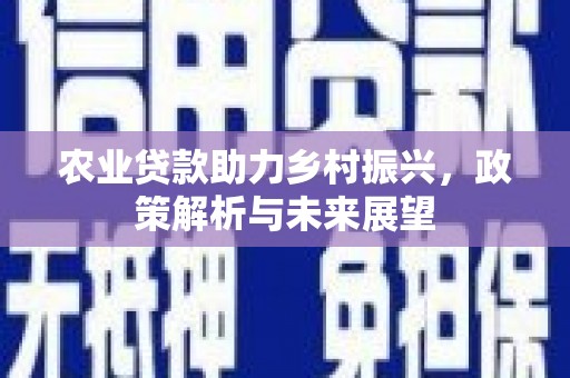 宁晋农业贷款助力乡村振兴，政策解析与未来展望