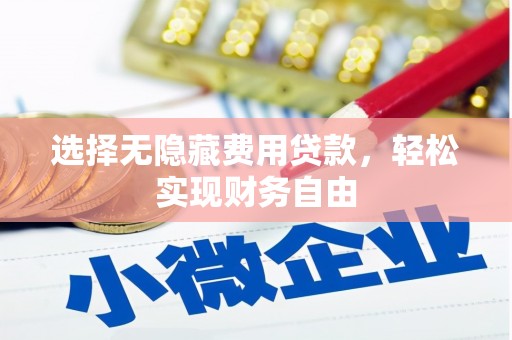 宁晋选择无隐藏费用贷款，轻松实现财务自由