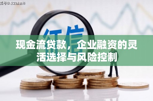 宁晋现金流贷款，企业融资的灵活选择与风险控制