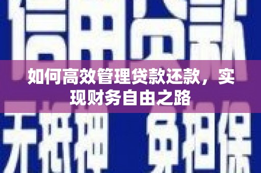 宁晋如何高效管理贷款还款，实现财务自由之路