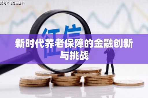 宁晋新时代养老保障的金融创新与挑战