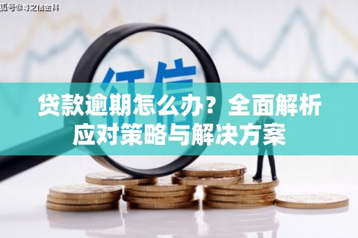 宁晋贷款逾期怎么办？全面解析应对策略与解决方案