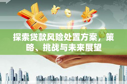宁晋探索贷款风险处置方案，策略、挑战与未来展望
