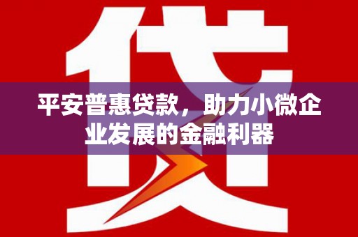 宁晋平安普惠贷款，助力小微企业发展的金融利器