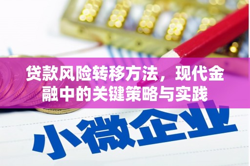 宁晋贷款风险转移方法，现代金融中的关键策略与实践