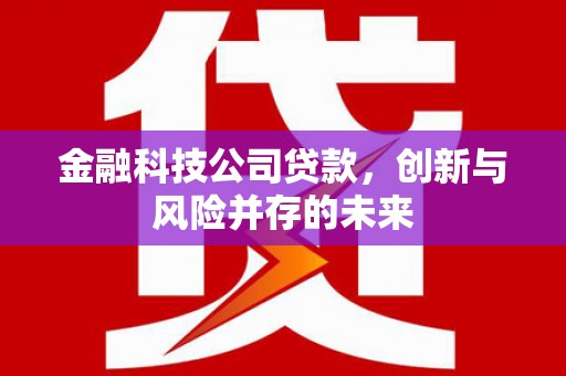 宁晋金融科技公司贷款，创新与风险并存的未来