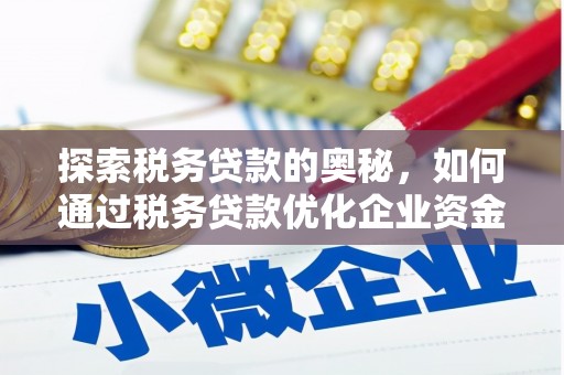 宁晋探索税务贷款的奥秘，如何通过税务贷款优化企业资金流