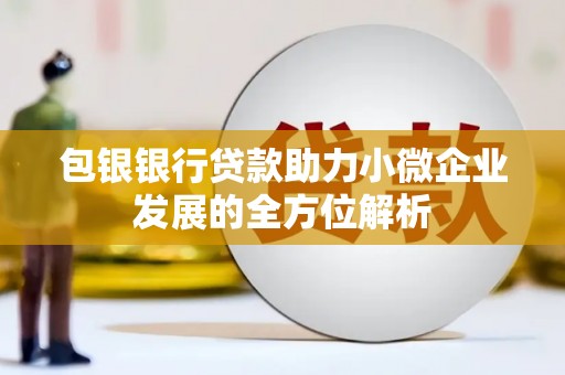 宁晋包银银行贷款助力小微企业发展的全方位解析 宁晋包银银行贷款助力小微企业发展的全方位解析