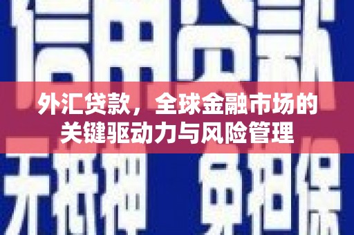 宁晋外汇贷款，全球金融市场的关键驱动力与风险管理