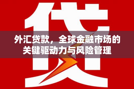 宁晋外汇贷款，全球金融市场的关键驱动力与风险管理