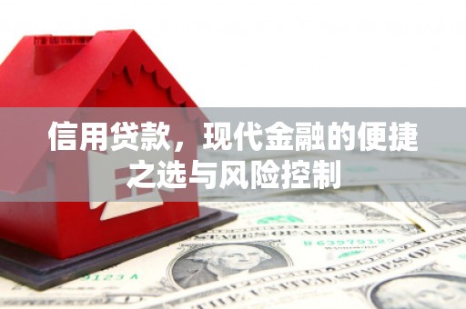 宁晋信用贷款，现代金融的便捷之选与风险控制