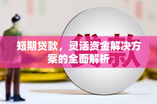 宁晋短期贷款，灵活资金解决方案的全面解析