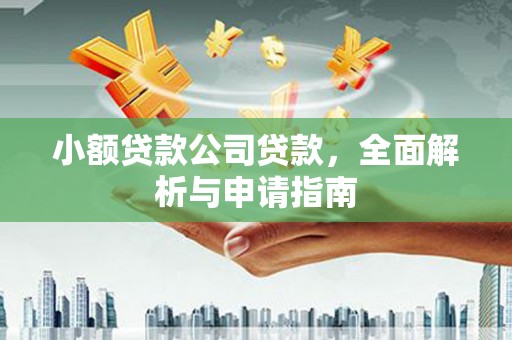 宁晋小额贷款公司贷款，全面解析与申请指南