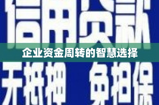 宁晋企业资金周转的智慧选择