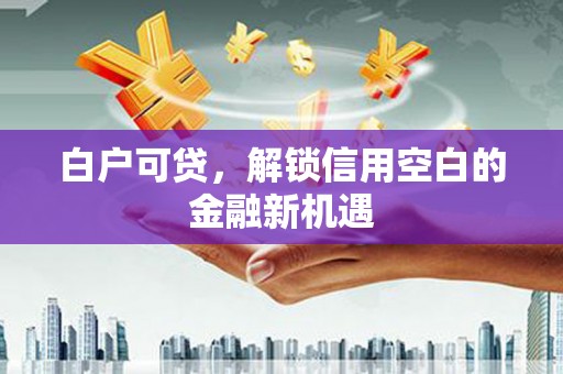 宁晋白户可贷，解锁信用空白的金融新机遇