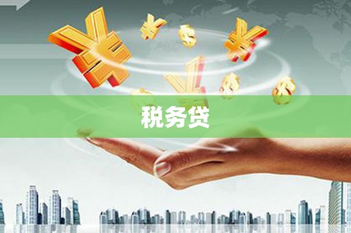 宁晋税务贷