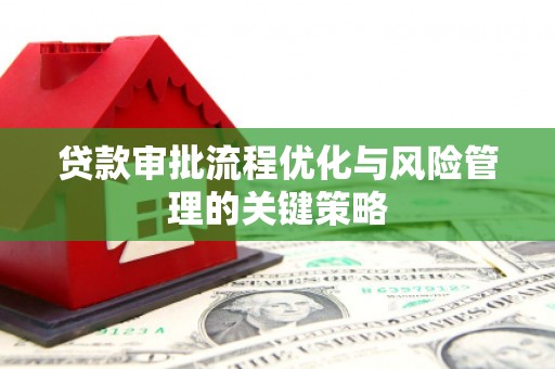 宁晋贷款审批流程优化与风险管理的关键策略