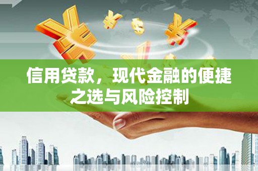 宁晋信用贷款，现代金融的便捷之选与风险控制