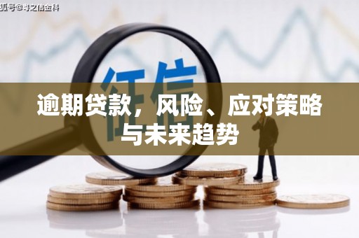 宁晋逾期贷款，风险、应对策略与未来趋势