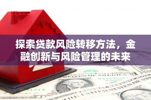 宁晋探索贷款风险转移方法，金融创新与风险管理的未来