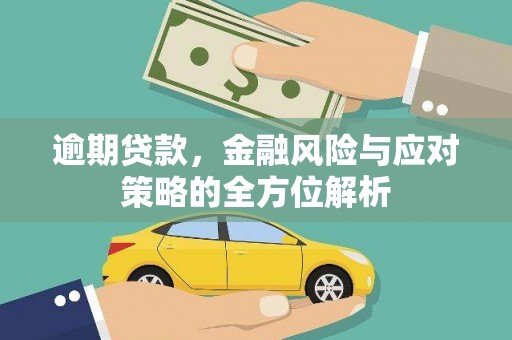 宁晋逾期贷款，金融风险与应对策略的全方位解析