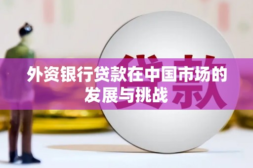 宁晋外资银行贷款在中国市场的发展与挑战
