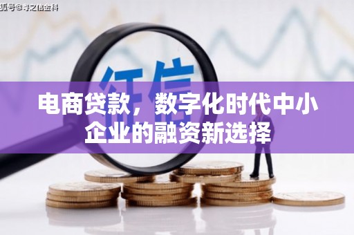 宁晋电商贷款，数字化时代中小企业的融资新选择
