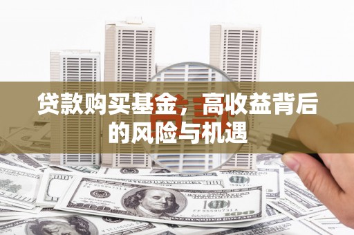 宁晋贷款购买基金，高收益背后的风险与机遇