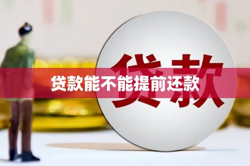 宁晋贷款能不能提前还款